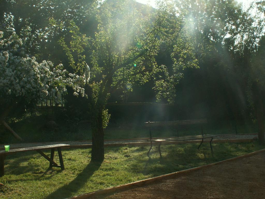 La Chartreuse Hotel Poilly-sur-Tholon Luaran gambar